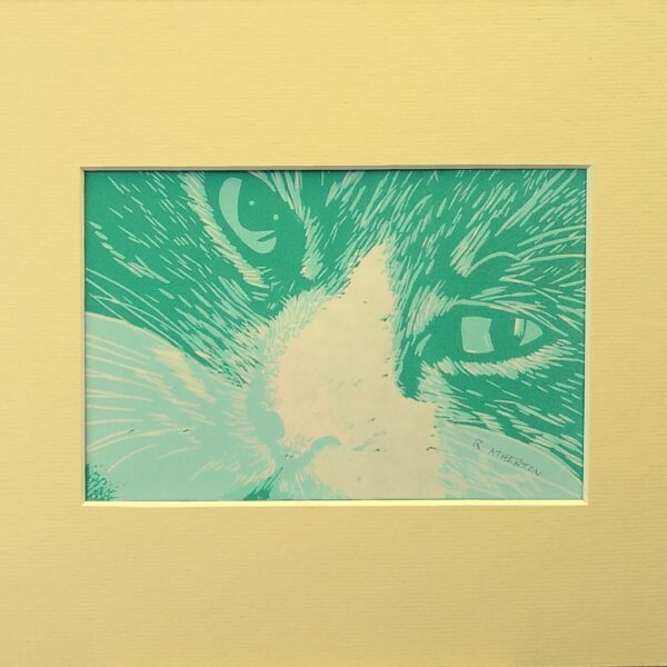 Blue Cat