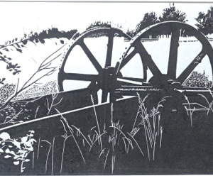 Double Wheel Beamish